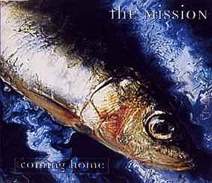 The Mission -  