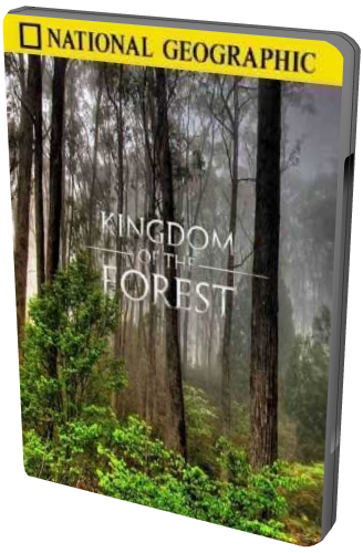National Geographic.   / Kingdom of the Forest 